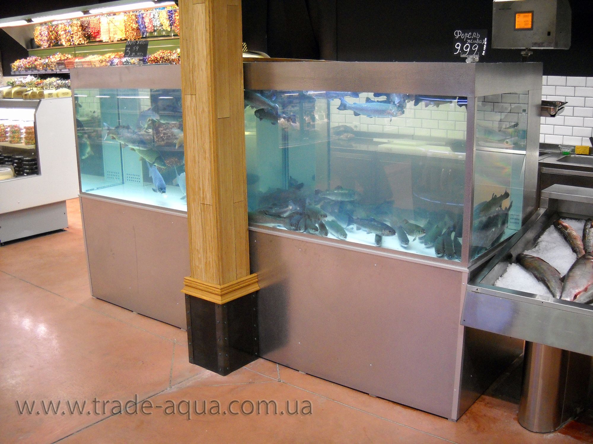 Akvarium-dlja-ryby