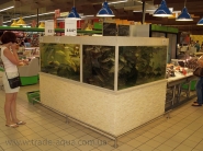 Akvarium-dlja-supermarketa